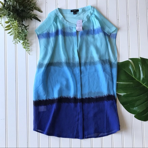 Ann Taylor Tops - Ann Taylor petite blue color block sheer top